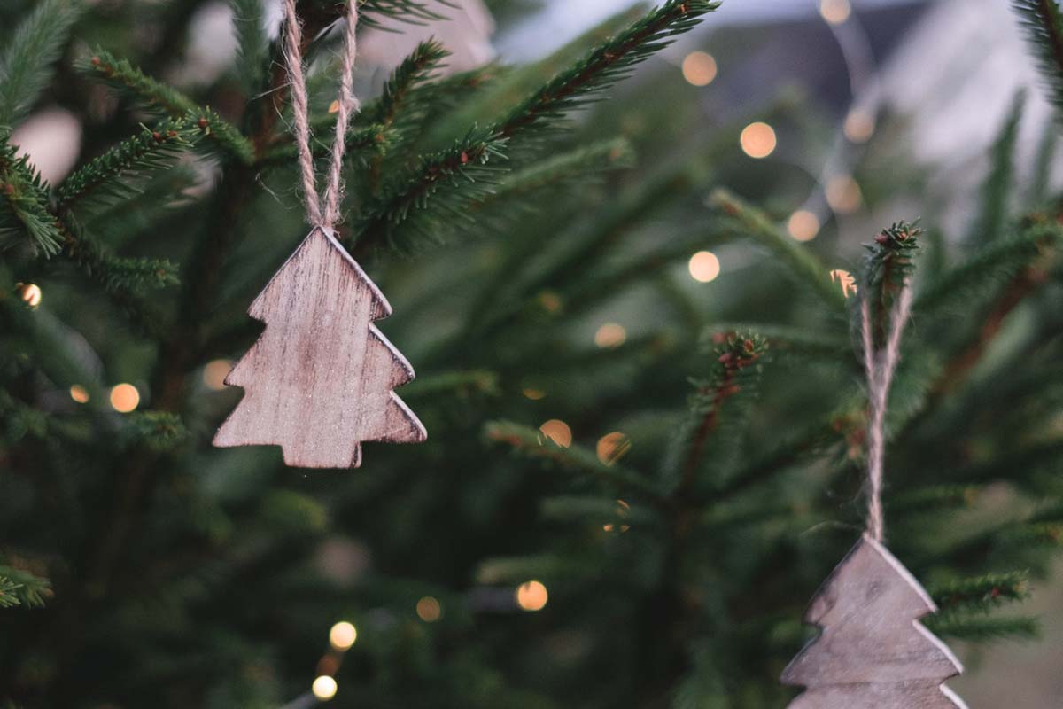 duurzame-kerstboom-thedailygreen